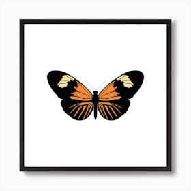 Heliconius Burneyi Butterfly Square Art Print