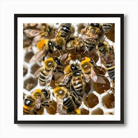 Bees On A Honeycomb 3 Art Print
