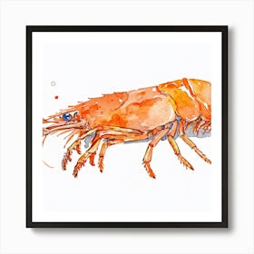 Prawn 1 Art Print