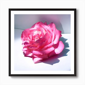 The Fuchsia Rose Art Print