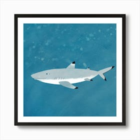 Black Tipped Reef Shark Art Print