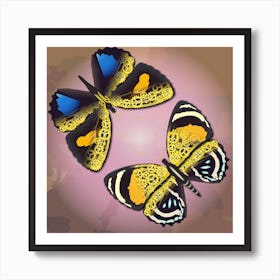 A Couple Of Mechanical Callicore Aegina Butterflies On A Pink Background Art Print