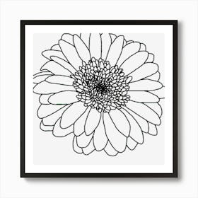 Gerbera Floral Line Drawing Art Print