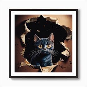 Cat Through A Hole Art Print