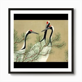 Cranes In A Pine Tree Art Print