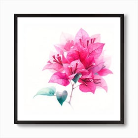 Watercolor Pink Bougainvillea Flower Art Print