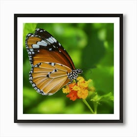 Butterfly - Butterfly Stock Videos & Royalty-Free Footage Art Print