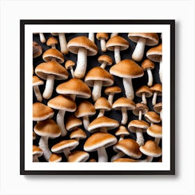 Many Mushrooms On A Black Background 3 Art Print