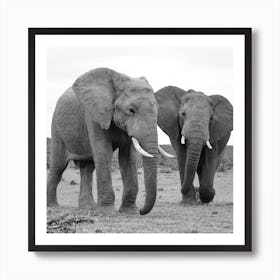 Elephants Art Print