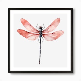 Dragonfly Art Print