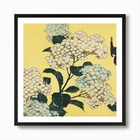 Hydrangea Art Print