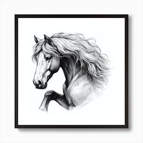 Horse Head Drawing 2 Art Print