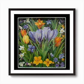 Crocuses Art Print