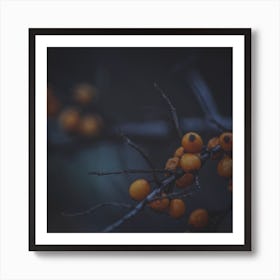 Fruits Of Autumn 6 Square Art Print