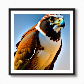 A falcon with beautiful colors Art Print