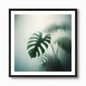 Nature Monstera Plant Leaves Botanical Fog Mist Art Print