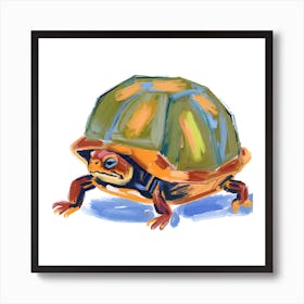 Box Turtle 08 Art Print