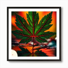 Maple leaf 1 Art Print