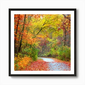 Autumn Road Art Print