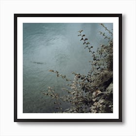 Blue Green Plant And River Scene St Sebastian, Spain Square Art Print