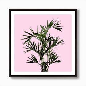 Palm Plant on Pastel Pink Wall Art Print