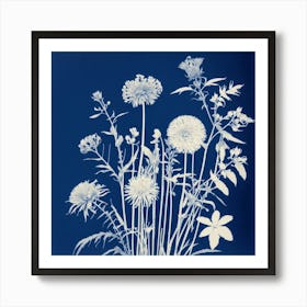 Flowers Photography In Style Anna Atkins (1) Art Print