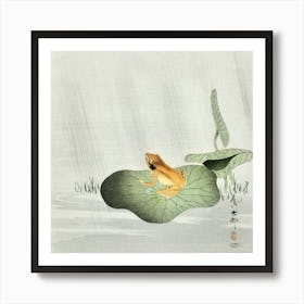 Frog On Lotus Leaf (1900 1930), Ohara Koson Art Print