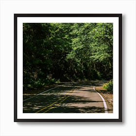 Winding Road Square Art Print