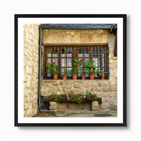 Stone House With Flower Pots 202308171245177rt1pub Art Print