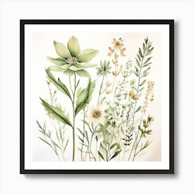 Wildflowers Art Print