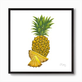 Pineapple 2 Art Print