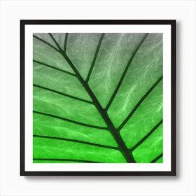 Leaf Green Fade 2 Art Print