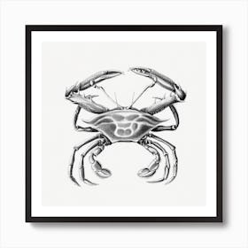Vintage Crab, Ernst Haeckel Art Print