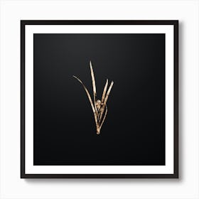 Gold Botanical Yellow Iris on Wrought Iron Black n.0581 Art Print