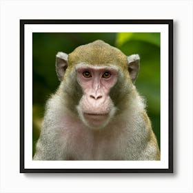 Monkey In The Forest 1 Art Print