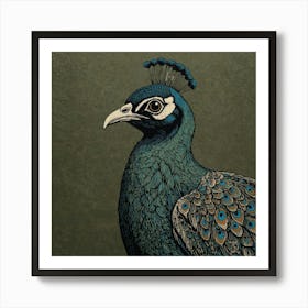 Peacock 7 Art Print