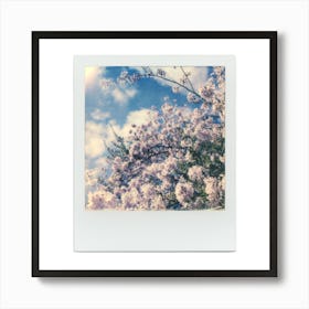 Polaroid Cherry Blossom 01 Art Print