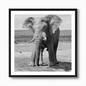 Big Elephant Art Print