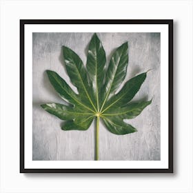 Aralia Leaf On Grey Square Art Print