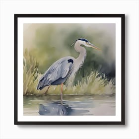 Great Blue Heron Watercolour 2 Art Print