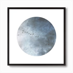 Birds In Flight Square Art Print