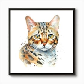 Asian Leopard Cat Portrait 2 Art Print