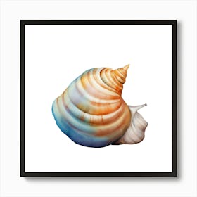 Seashell Art Print