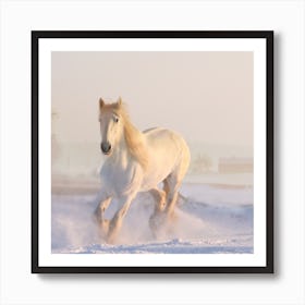 White Horse In The Snow Art Print