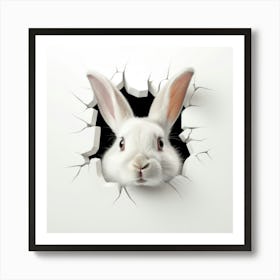 Rabbit In A Hole Affiche