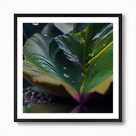 Water Droplets On A Leaf Art Print