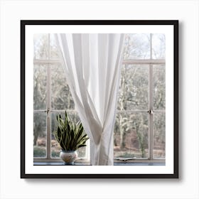 The Windows The White Curtans And The Green Square Art Print