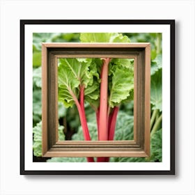 Rhubarb In A Frame 5 Art Print