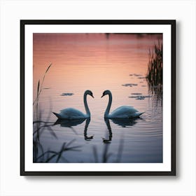 Swan Lake At Twilight 1 Art Print