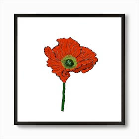 Red Poppy Art Print